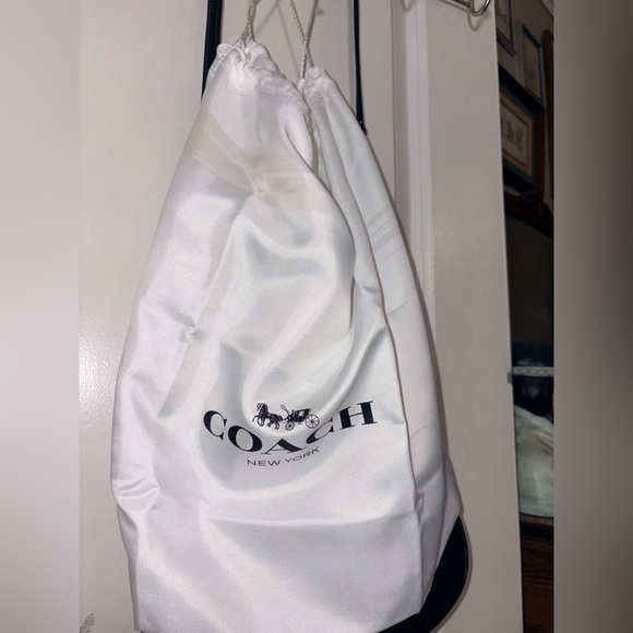 🖤 NWT Coach Mini Carmen Crossbody in Pebble Leather - Picture 9 of 15